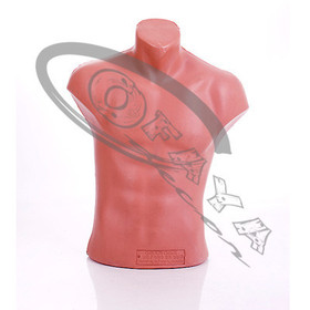 Male mannequin torso form