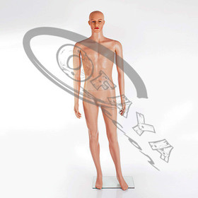 Male plastic mannequins