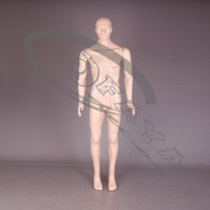 20305 - Plastic mannequins male