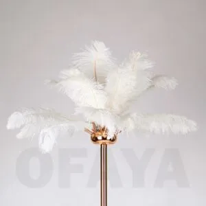 51221 - Floor lamp - ostrich feathers