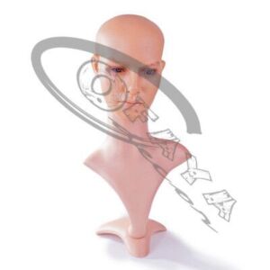 20329 - Plastic mannequins head