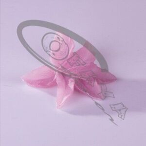 50732 - Jewelry stands